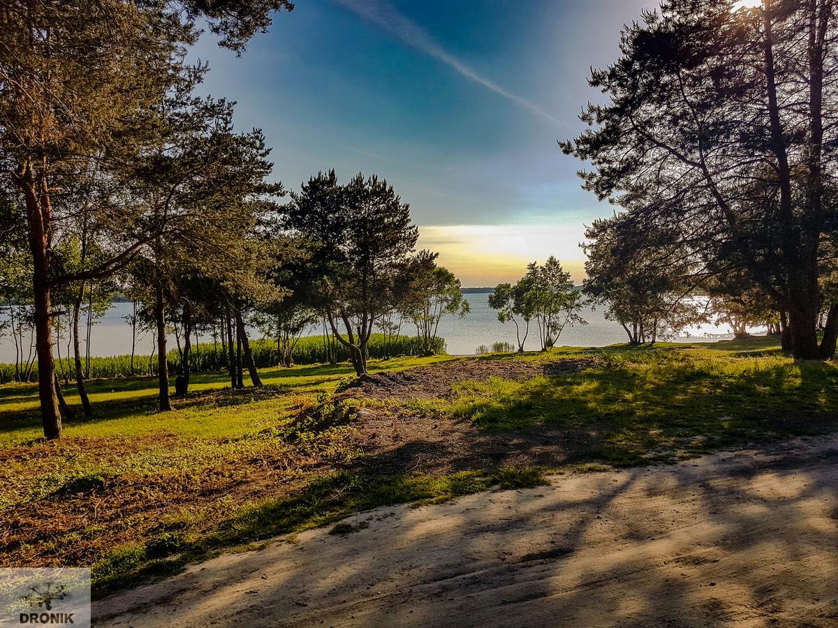 Hotel Zagiel Niewiesze Dış mekan fotoğraf