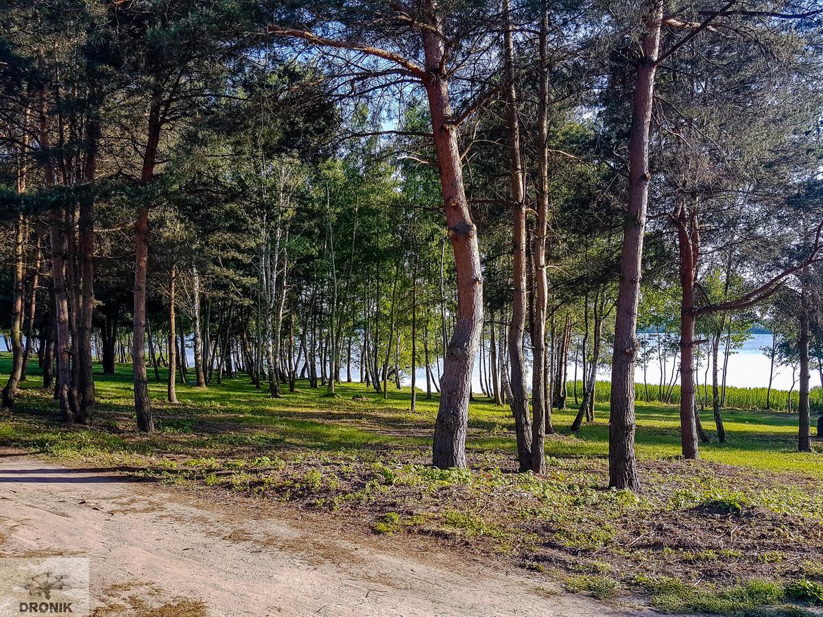 Hotel Zagiel Niewiesze Dış mekan fotoğraf